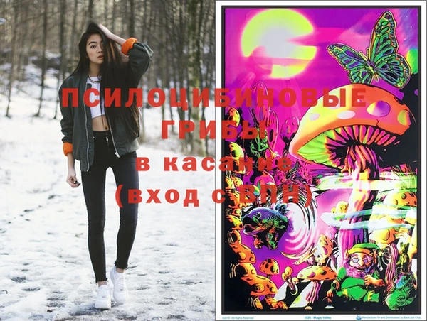 Альфа ПВП Белокуриха